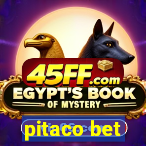 pitaco bet